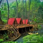 Wana Wisata Kampung Rahong