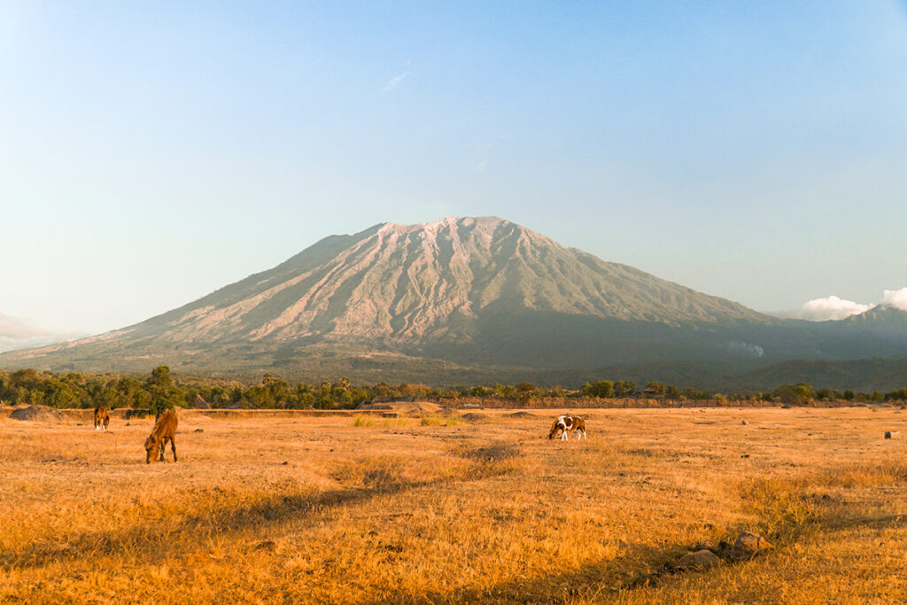 Savana Tianyar, Karangasem