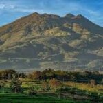 Wisata Gunung Lawu: Menyapa Keindahan Alam di Puncak Jawa Timur