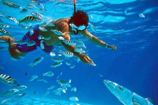 Menyelam di Bali: Surga Bawah Laut yang Tak Tertandingi Menyelam di Bali