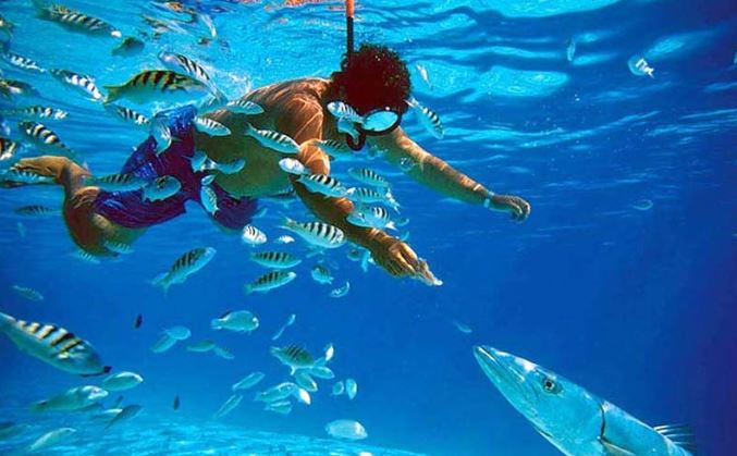 Menyelam di Bali: Surga Bawah Laut yang Tak Tertandingi Menyelam di Bali